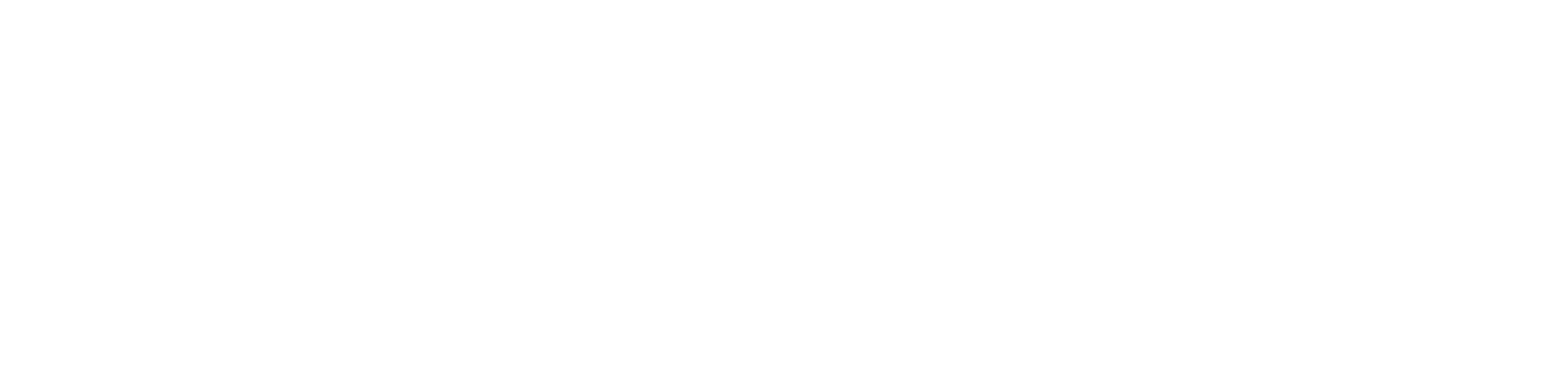 Wontonne