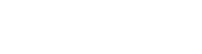 Wontonne